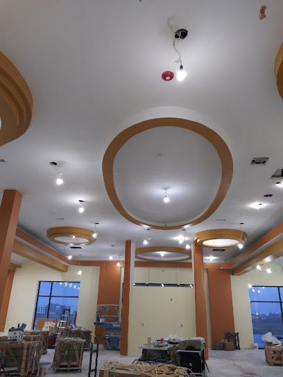 Grace Electric DSM