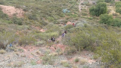 Photos of Colonia Papagallos DGE