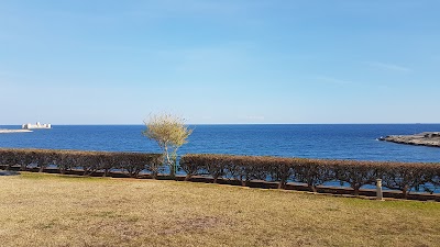 Photos of Akkum Gen&ccedil;lik Kampı