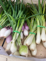 Photo n°6 de BIOCOOP VendôBio Vendôme à Vendôme (Magasin bio)