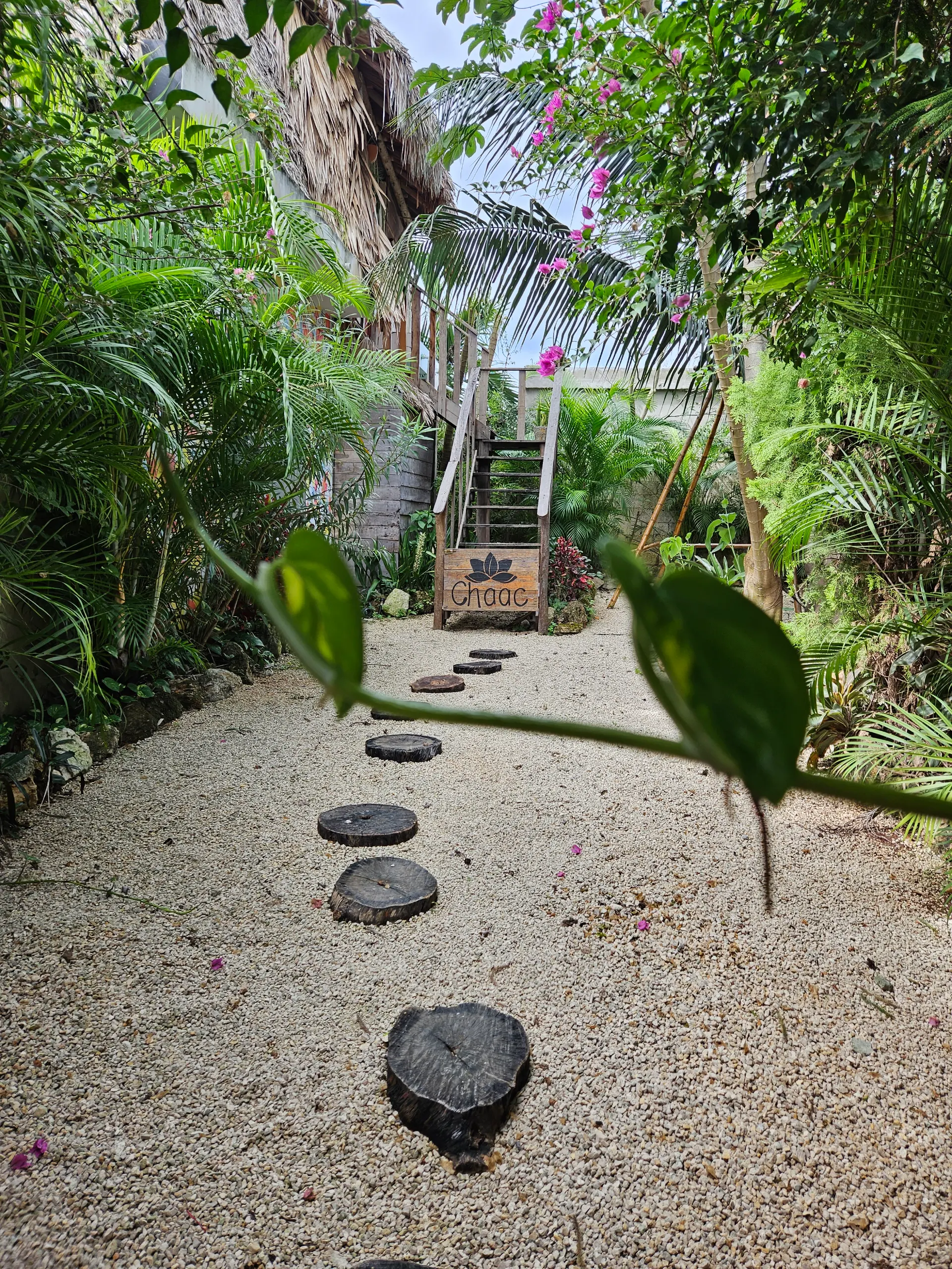 Jungla Bacalar