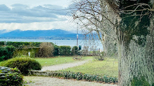 Photo n°3 de Les Figuiers à Messery (Restaurant français)