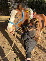 Photo n°2 de Poney Club de Bel Air à Salon-de-Provence (Centre équestre)