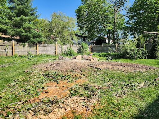 Avatar for HTR Home Services & Tree Care