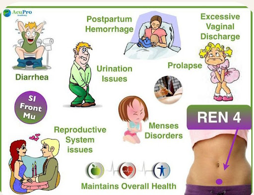 ,REN 4: Vital Acupuncture Point for Core Health post image
