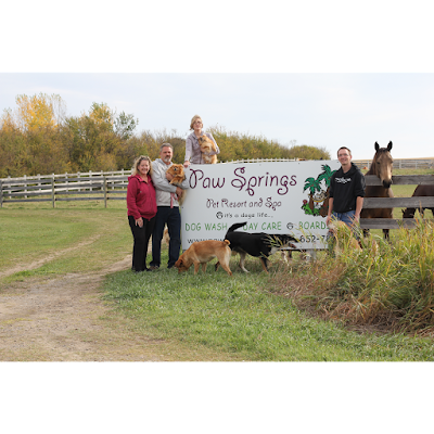 Photos of Paw Springs Pet Resort & Spa Ltd