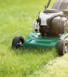 Photo n°5 de CS elagage à Vif (Service d'élagage)