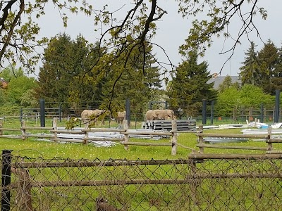Photos of Platschow Elefantendorf