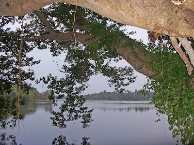 Photos of Mahawewa Devalaya