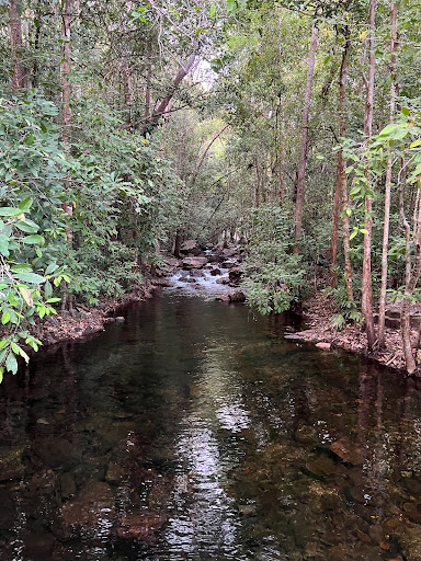 Florence Falls Old 4WD Campground - Thumbnail