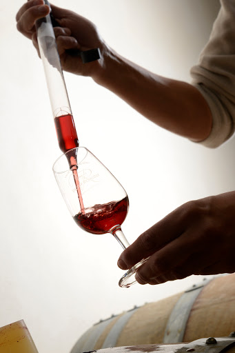Domaine Valéry Renaudat - Thumbnail