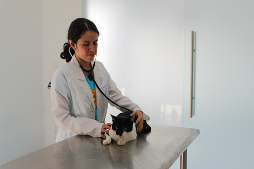 Clínica Veterinaria Palomo