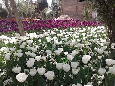 Photos of Razi Park