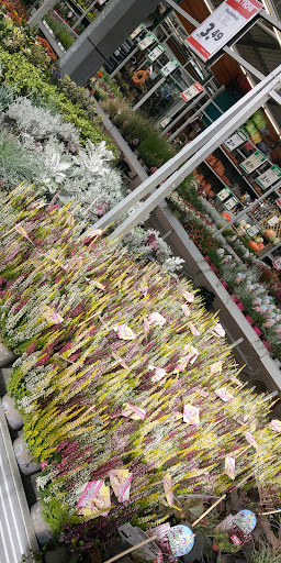 Hagebaumarkt Erftstadt - Thumbnail