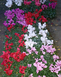 Photo n°40 de Ambiance Maison et Jardin à Plan-d'Orgon (Fleuriste)