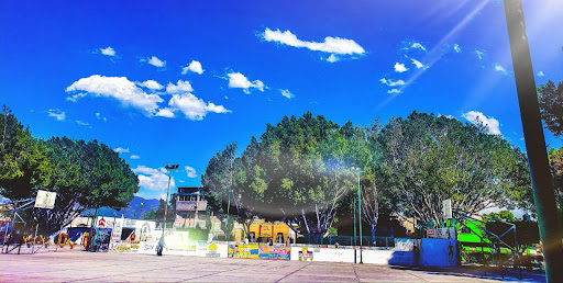 Parque Serdan - Visual