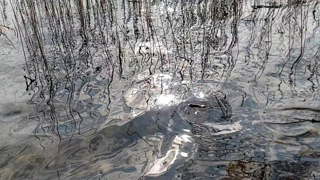 Huta 7, 16-402 Suwałki