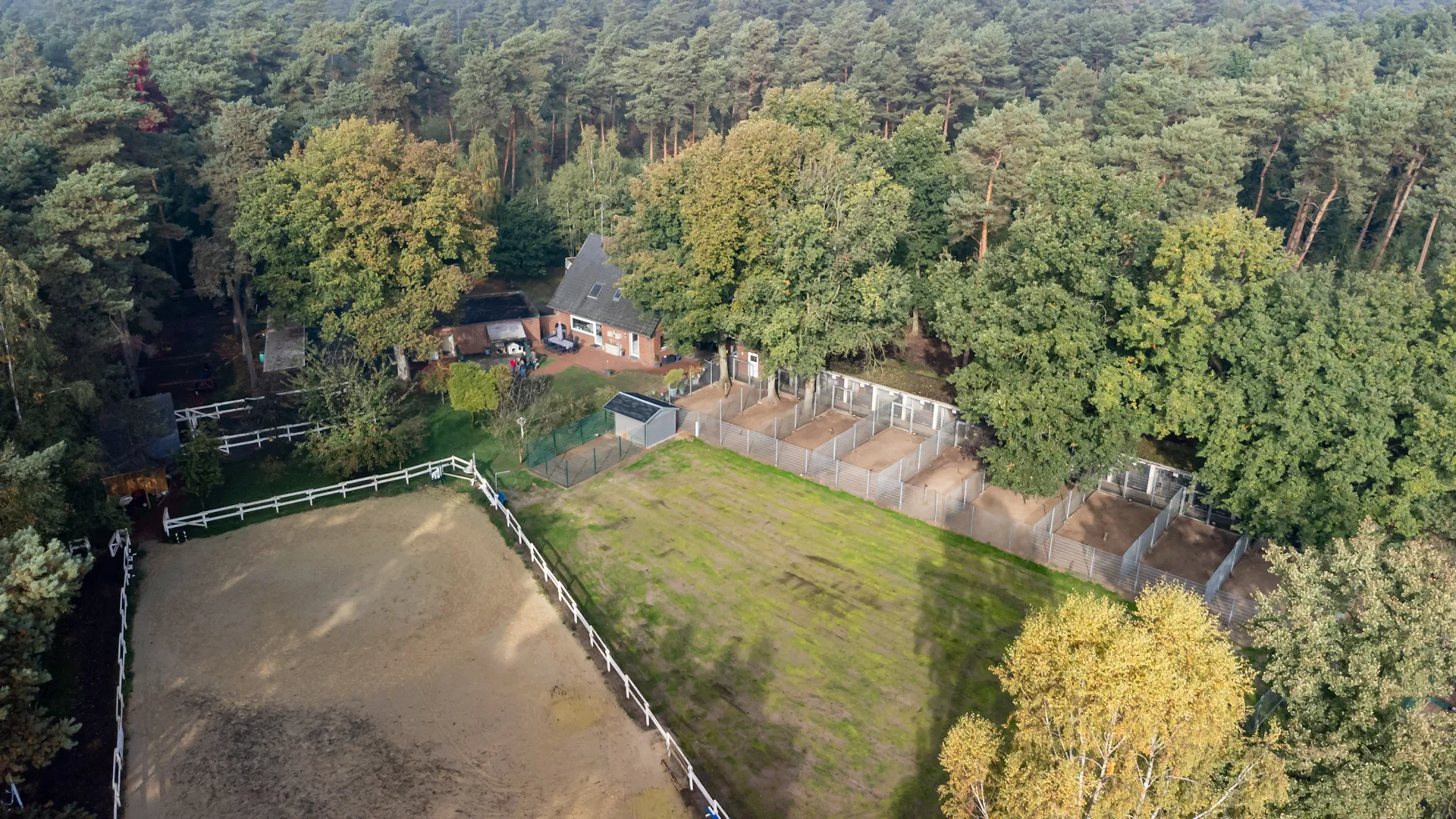 Hundepension Waldblick