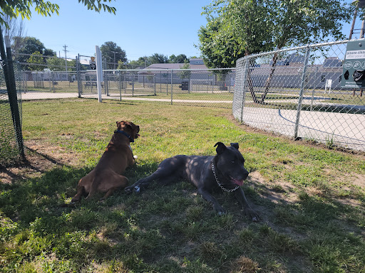 Milford Dog Park