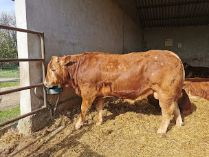 Photo n°2 de Ferme de campserdou à Puivert (Élevage laitier)