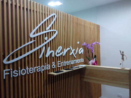 SINERXIA - Visual