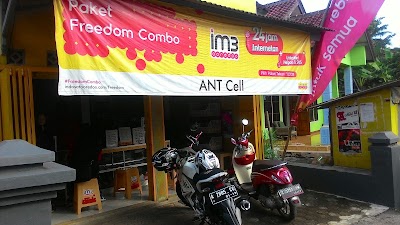 Photos of Ant Cell