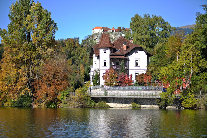 Bled Rose Hotel by null