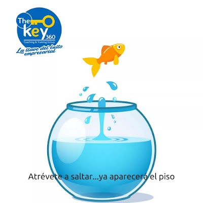 Photos of The key 360 Coaching-Mentoring-Training-Desarrollo Empresarial