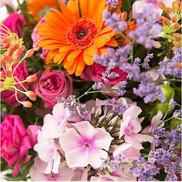 Photo n°4 de Un Vent De Fleurs à Lanmeur (Fleuriste)