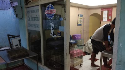 Photos of klinik hewan drh cut nurmaini