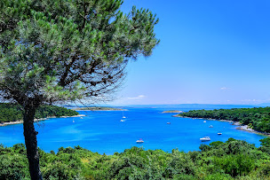 Photo n°10 de Patrick Beyssac Immobilier à Bormes-les-Mimosas (Agent immobilier)