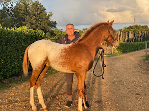 Photo n°7 de Ecurie Eric Le Grel - Elevage d’Ermac à La Bruère-sur-Loir (Centre équestre)