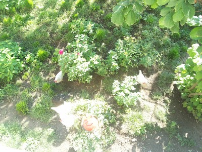 Photos of Şelale D&uuml;ğ&uuml;n Salonu