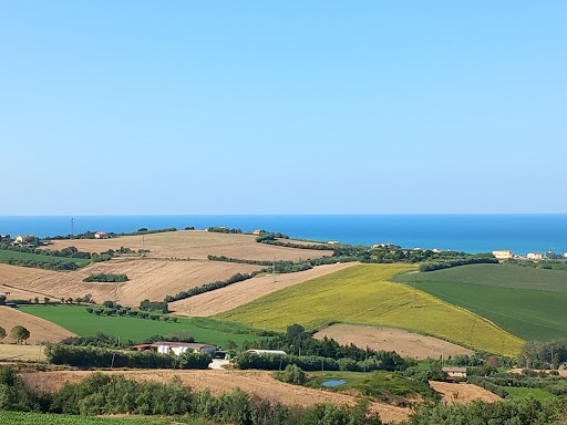 San costanzo - Thumbnail