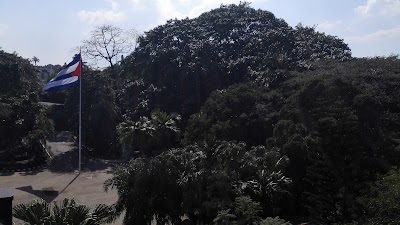 Photos of Parque Almendares
