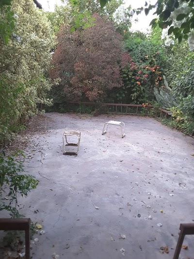 Photos of Basit Aziz Amiri Nursery Farm
