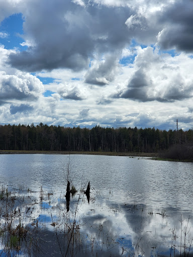 Willie Wildlife Marsh - Thumbnail