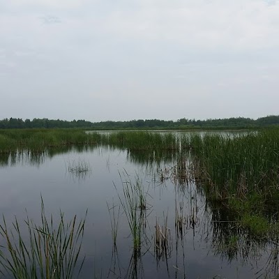 Gordon McQuarrie Wetlands