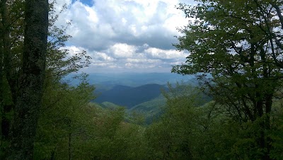 Photos of Joyce Kilmer Memorial Forest