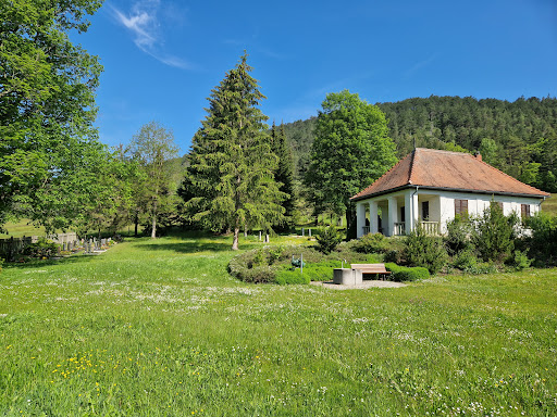 Friedhof Dosdorf - Visual