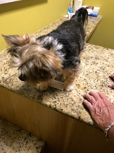 The Vet on 4th - Thumbnail