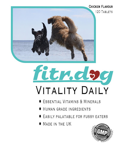 fitr.dog - Visual