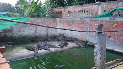 Photos of Crocodile Farm
