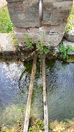Fontanile - Visual