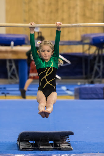 Franklin Gymsports - Thumbnail