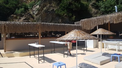 Tarzz Beach CLUB