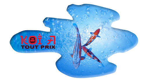 koi a tout prix