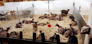 Photo n°17 de La Chèvrerie des 7 Laux à Theys (Ferme à visiter)