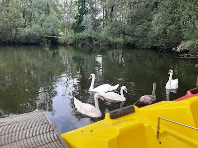 De Leemputten