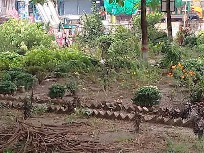 Photos of Kashinathpur-Kajirhat Bus Station